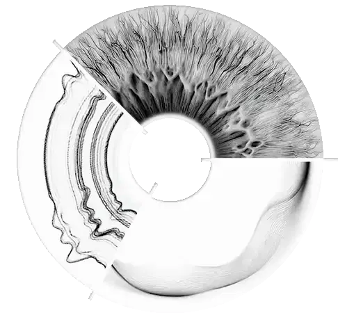 MR Dali - MR Multimodal interaction design