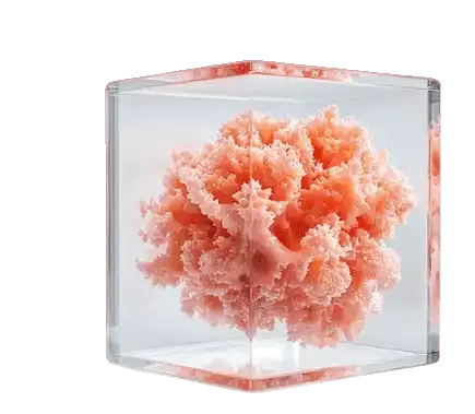 afca.ag — MR & Cloud Computing Custom Solutions